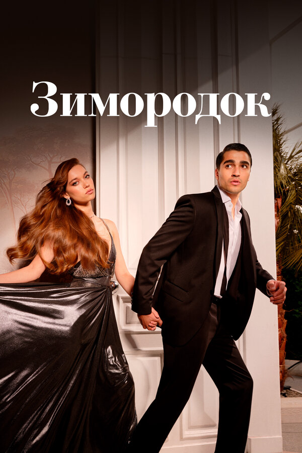 Зимородок - постер